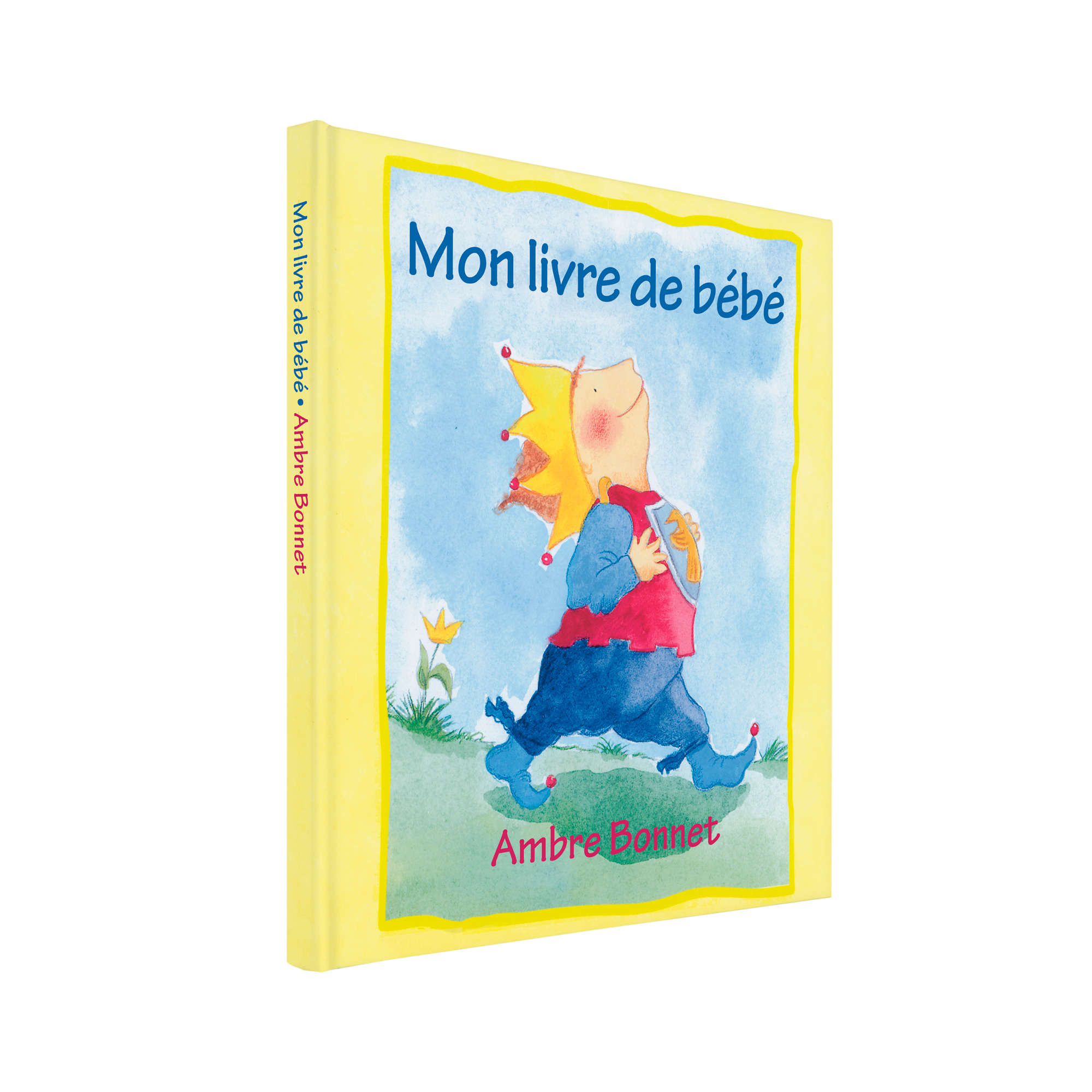 Mon livre de bébé - Livre personnalisé