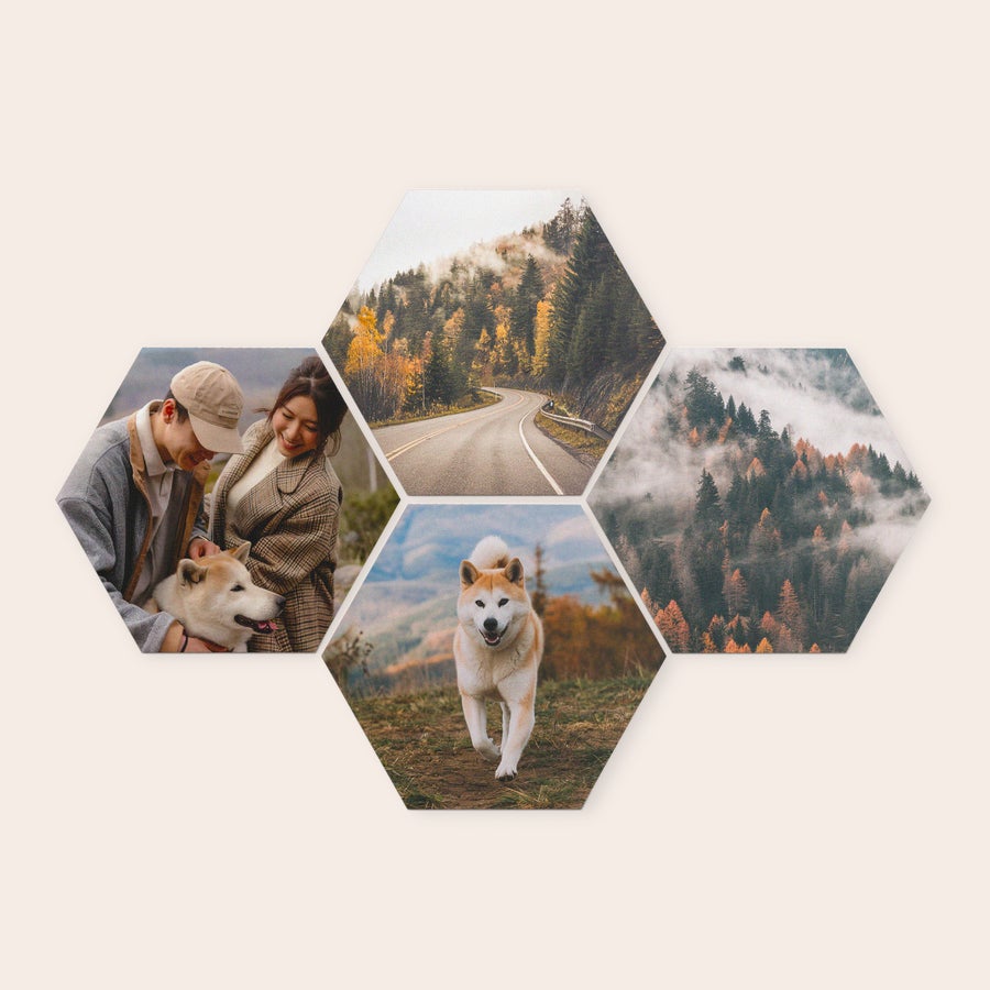Personalised wall art panels Personalized forex wall art panels with hexagonal photo prints of a couple, a dog, and autumn landscapes to decorate your wall