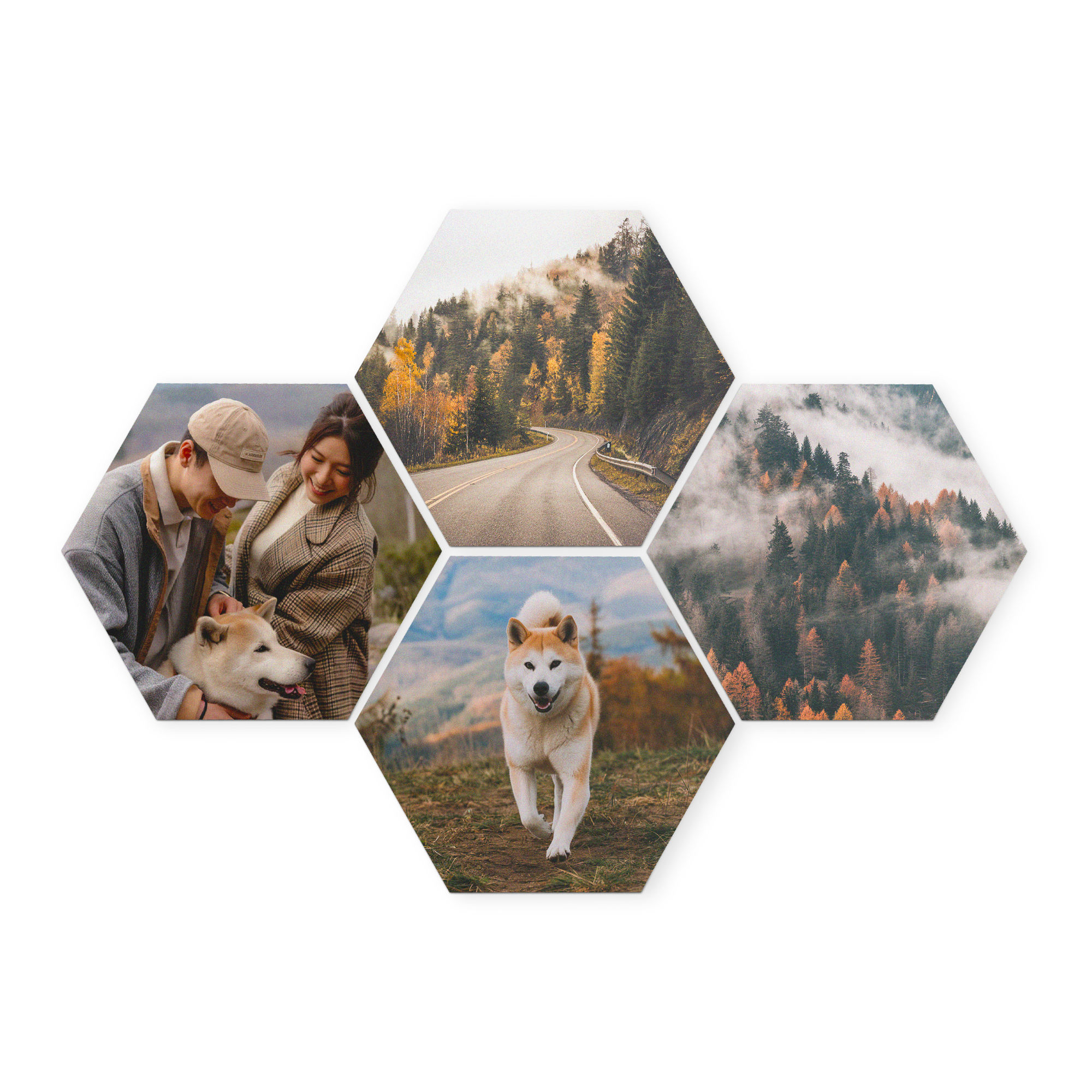 Sechseckige Wandbilder aus Holz mit Ihrem Design, bedruckt mit persönlichen Fotos von Paaren und einem Hund, sowie Naturmotiven