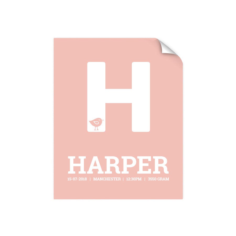 Födelseposter - 40 x 50