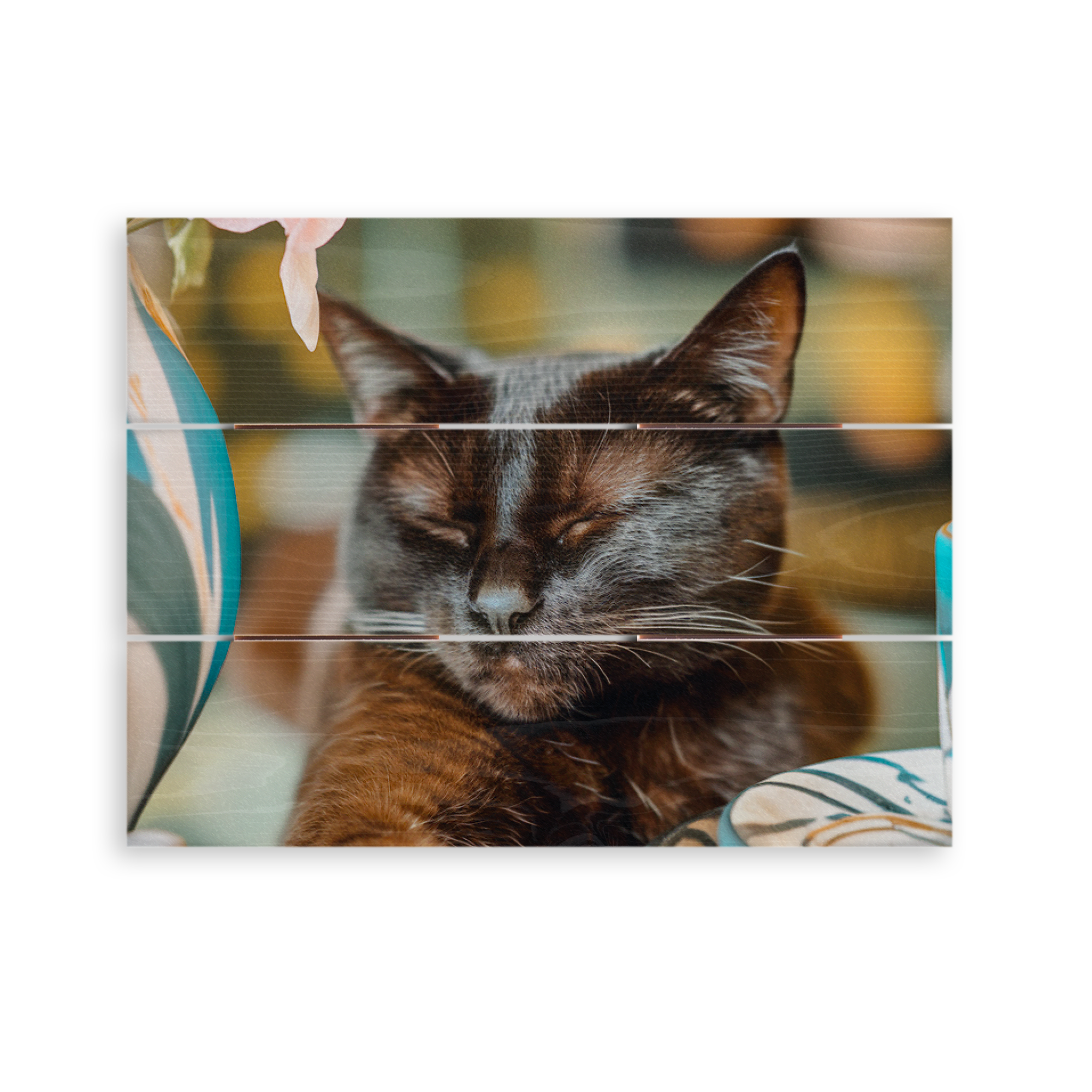 Tilpasset fotoutskrift på treplanker med et bilde av en katt som sover.