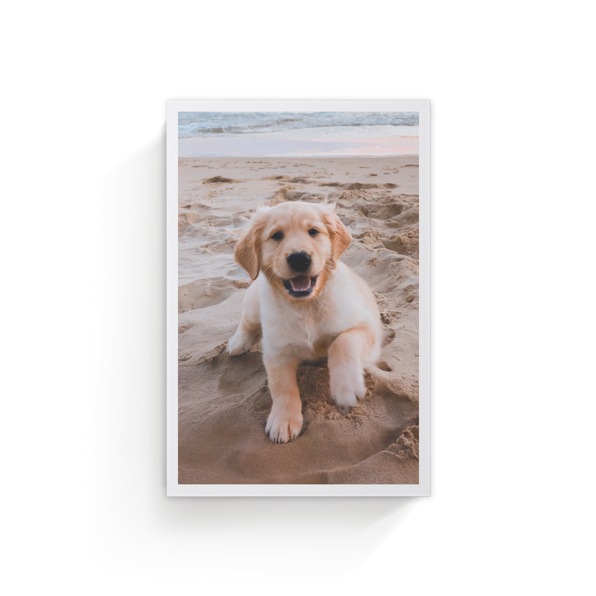 Tela personalizada com foto de filhote golden retriever na areia, nós imprimimos suas fotos mais bonitas em uma tela real linnen