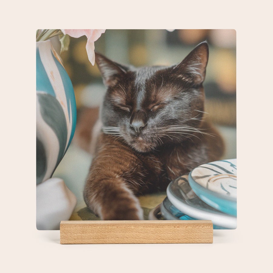 Tryckt fotoplatta i trä med stativ Fyrkantig träfotoplatta med sovande katt och träställ, tryckt med egen bild