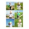 Instagram collage fotopaneler - 15x15 - Portræt - Glanset (6 stykker)