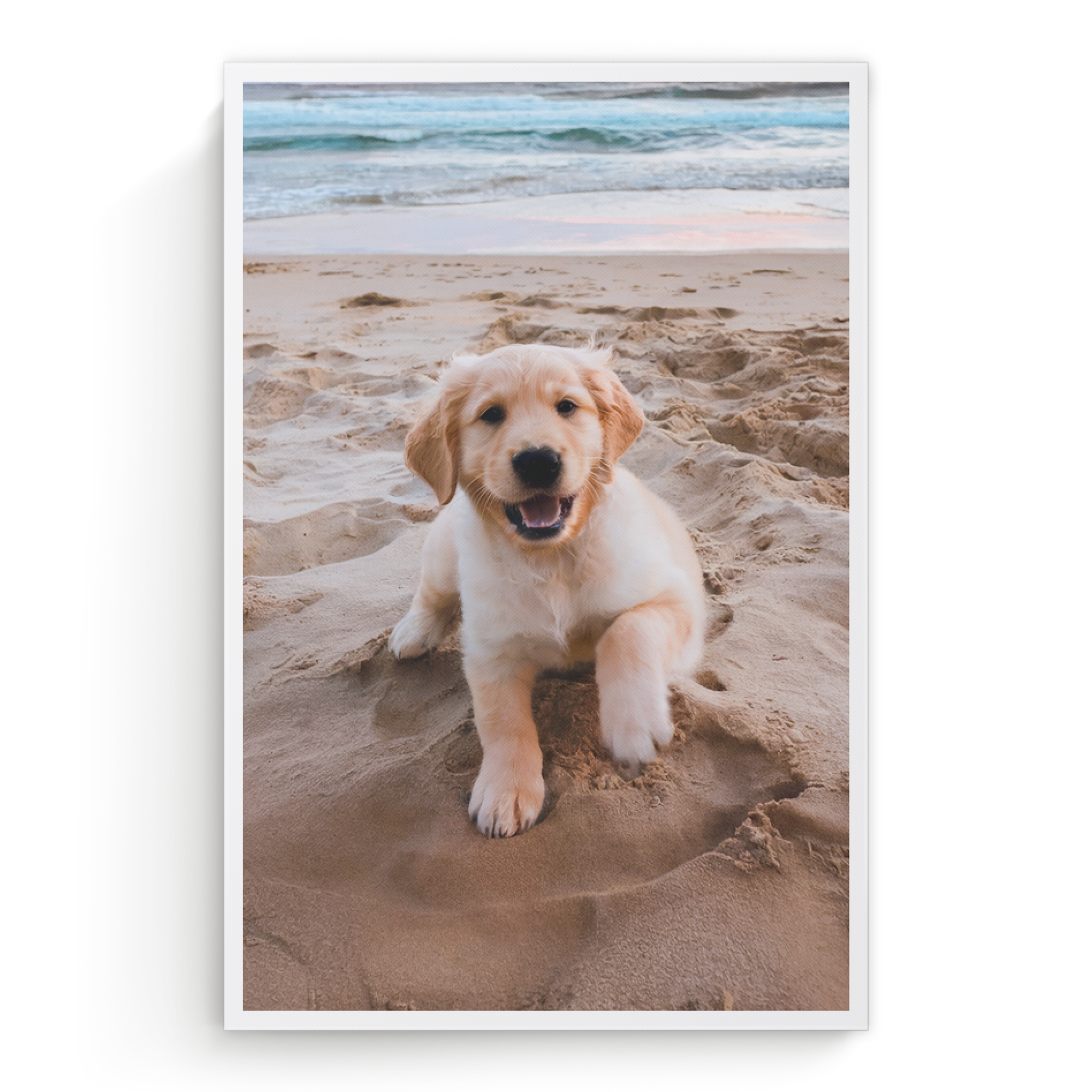 Foto su tela personalizzata con un cucciolo di Golden Retriever sulla sabbia, stampata con le tue foto più belle su una vera tela di lino