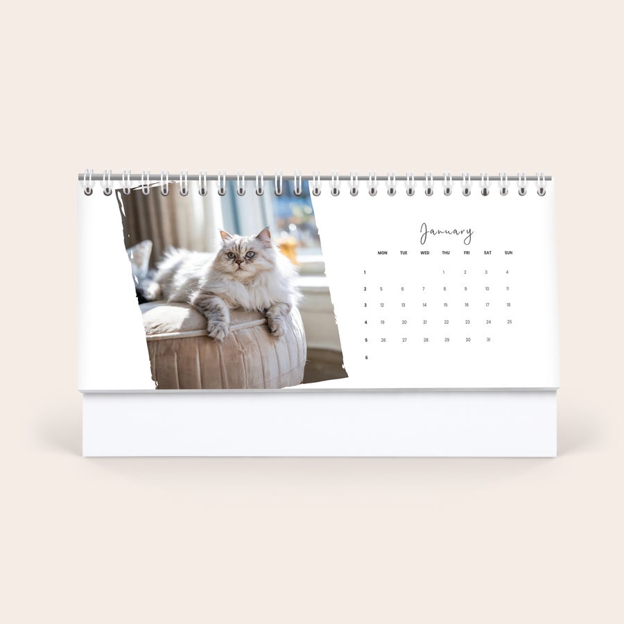 Calendario de escritorio personalizado Calendario de escritorio personalizado con foto de gato blanco, con el mes de enero y fechas.