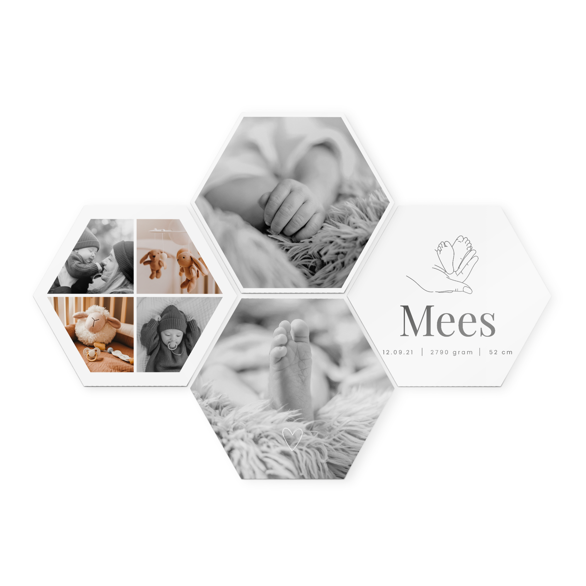 Paneles de arte de madera con fotos impresas en blanco y negro, incluyendo el nombre Mees y datos de nacimiento.