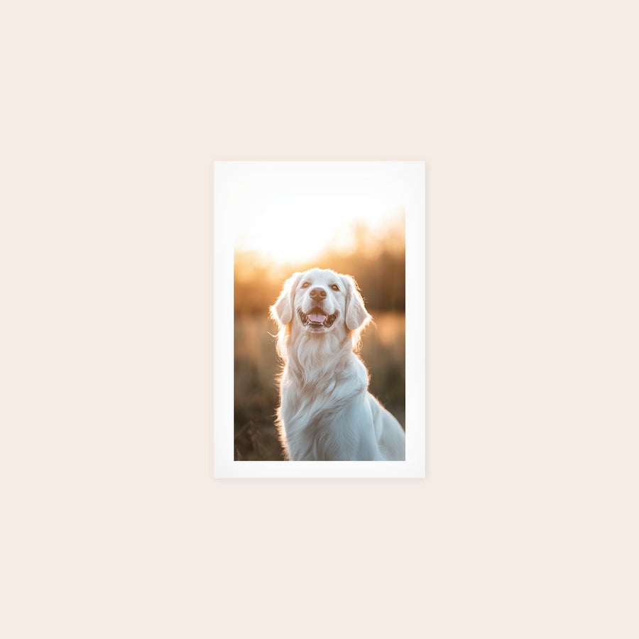 Poster photo prints Poster photo prints