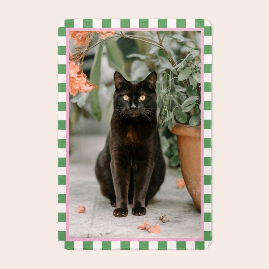 Couverture polaire - Polaire chaud - Animaux - 100 x 150 cm Belle couverture polaire personnalisée avec un chat noir imprimé, encadrée d'un motif vichy vert et rose.