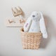 White Richie: Personalised Rabbit Soft Toy