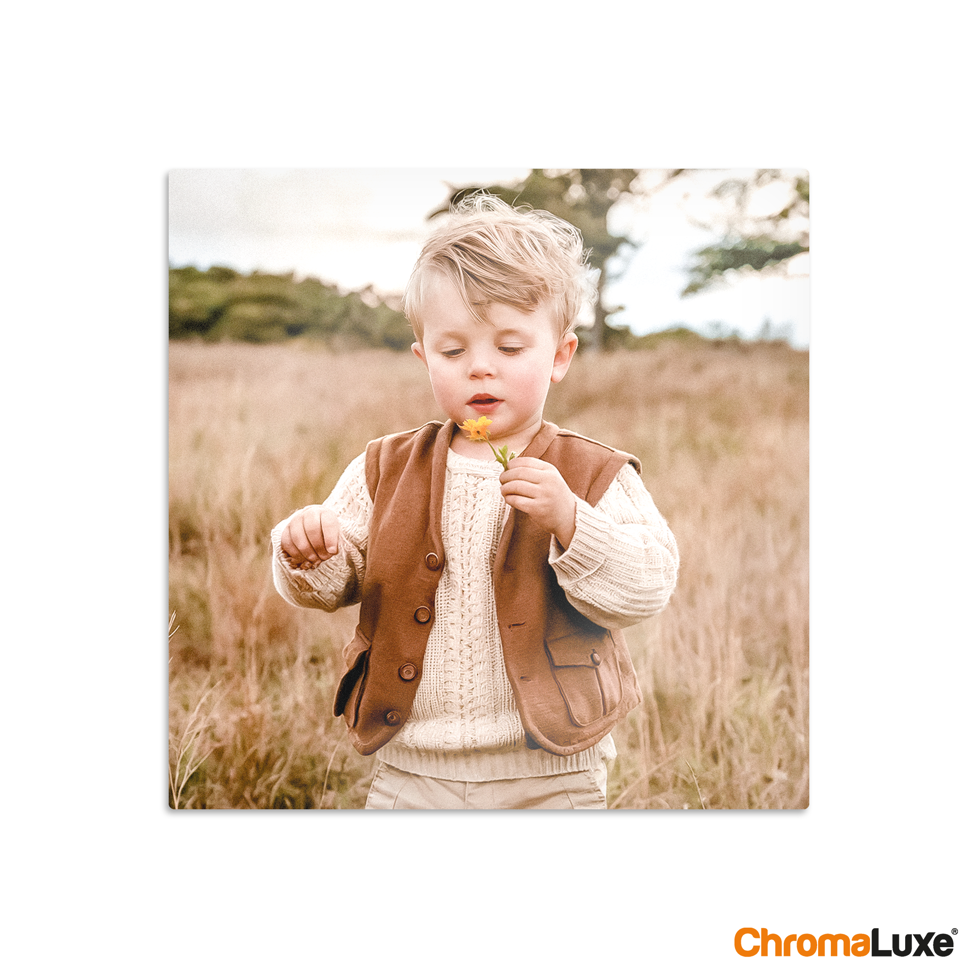 Instagram photo collage printed on aluminum featuring a personalized image of a child in a field holding a flower