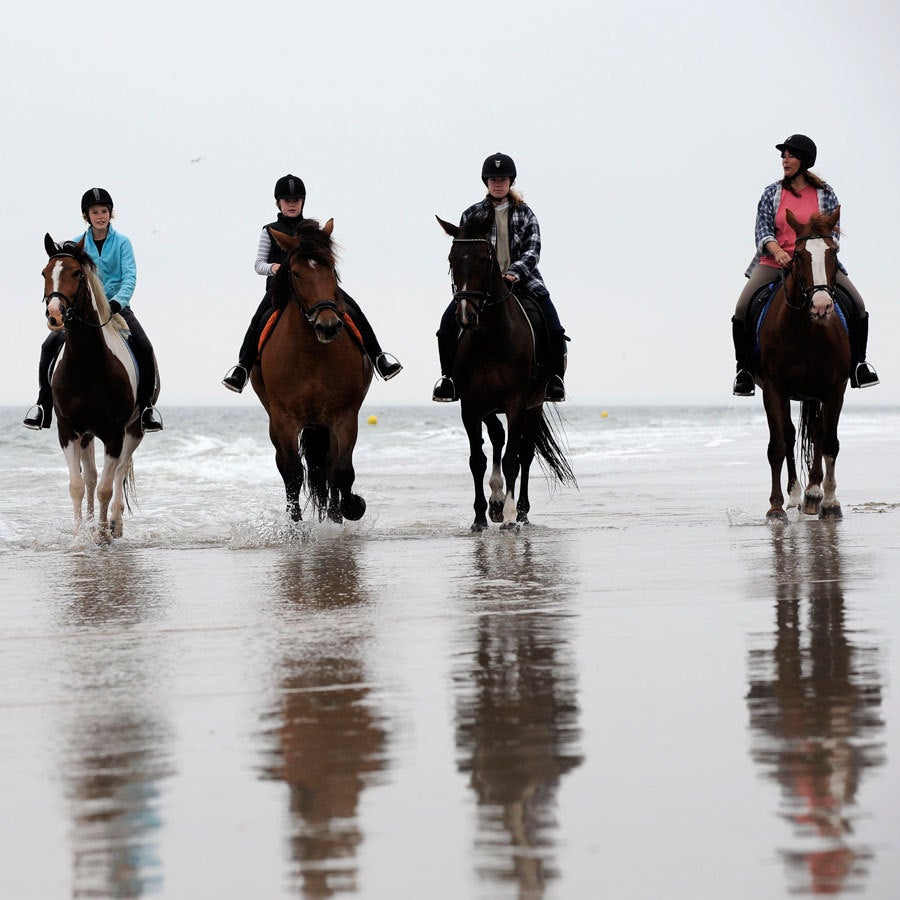 3-uursrit te paard (gevorderd) | www.Sjopz.com |