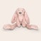 Rabbit Richie Bamse med navn - Kanin Rabbit Richie Bamse med navn - Kanin