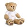 Personalised big teddy bear