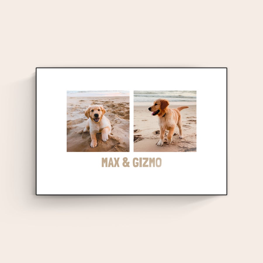 Foto på trä ChromaLuxe träfotopanel med två hundbilder, "MAX & GIZMO" tryckt med ditt eget foto och text.