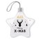 Christmas hanger - Star (2)