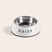 Dog feeding bowl Dog feeding bowl