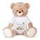 Soft Toy - Mega Bear - brun