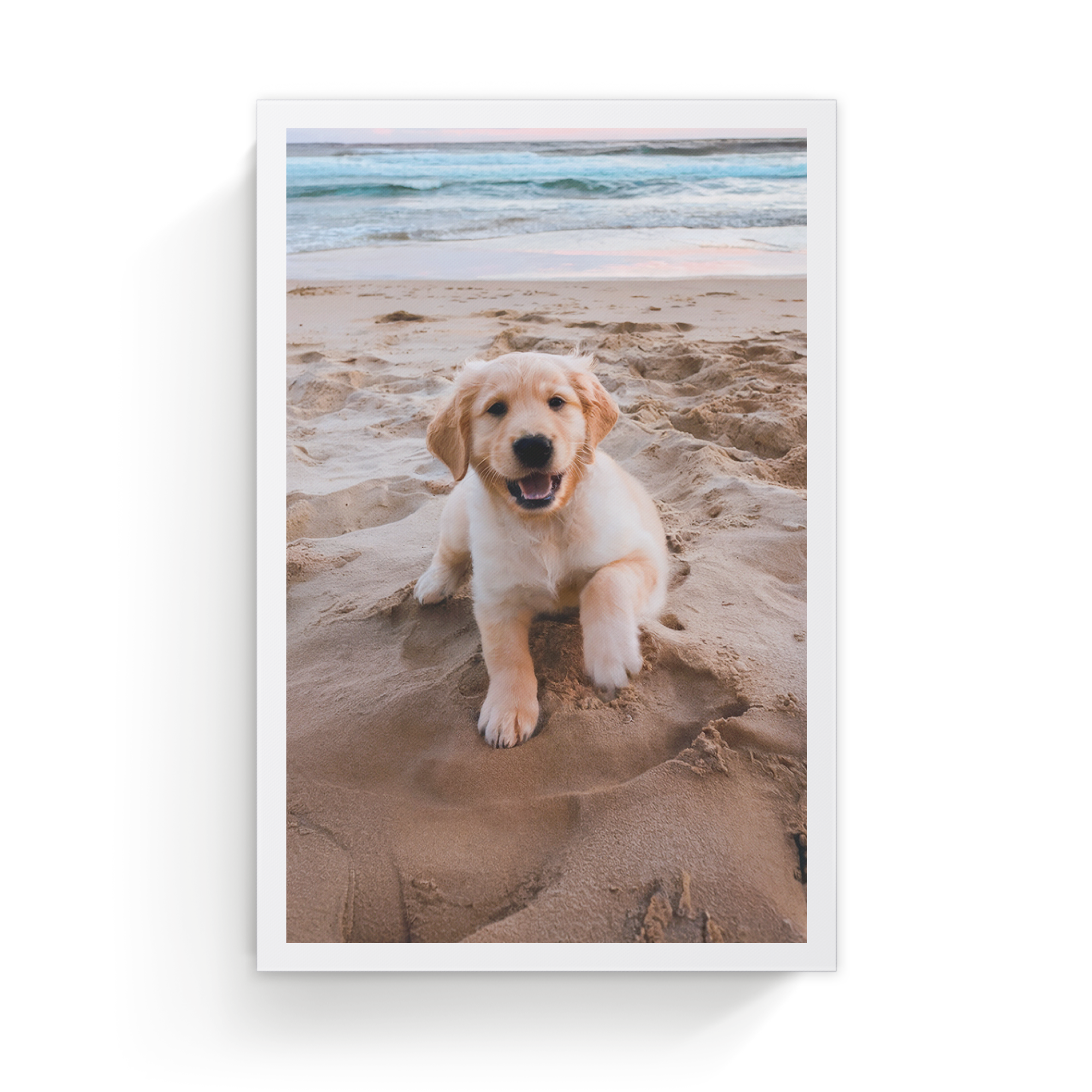 Toile personnalisée imprimée avec la photo d'un chiot golden retriever sur la plage
