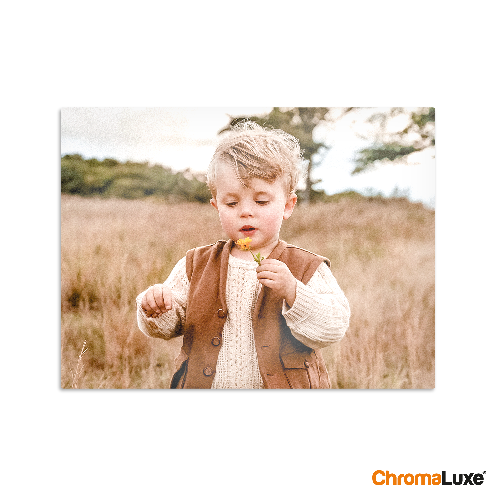 Instagram photo collage with a personalized image of a child in a field, printed on an aluminum panel