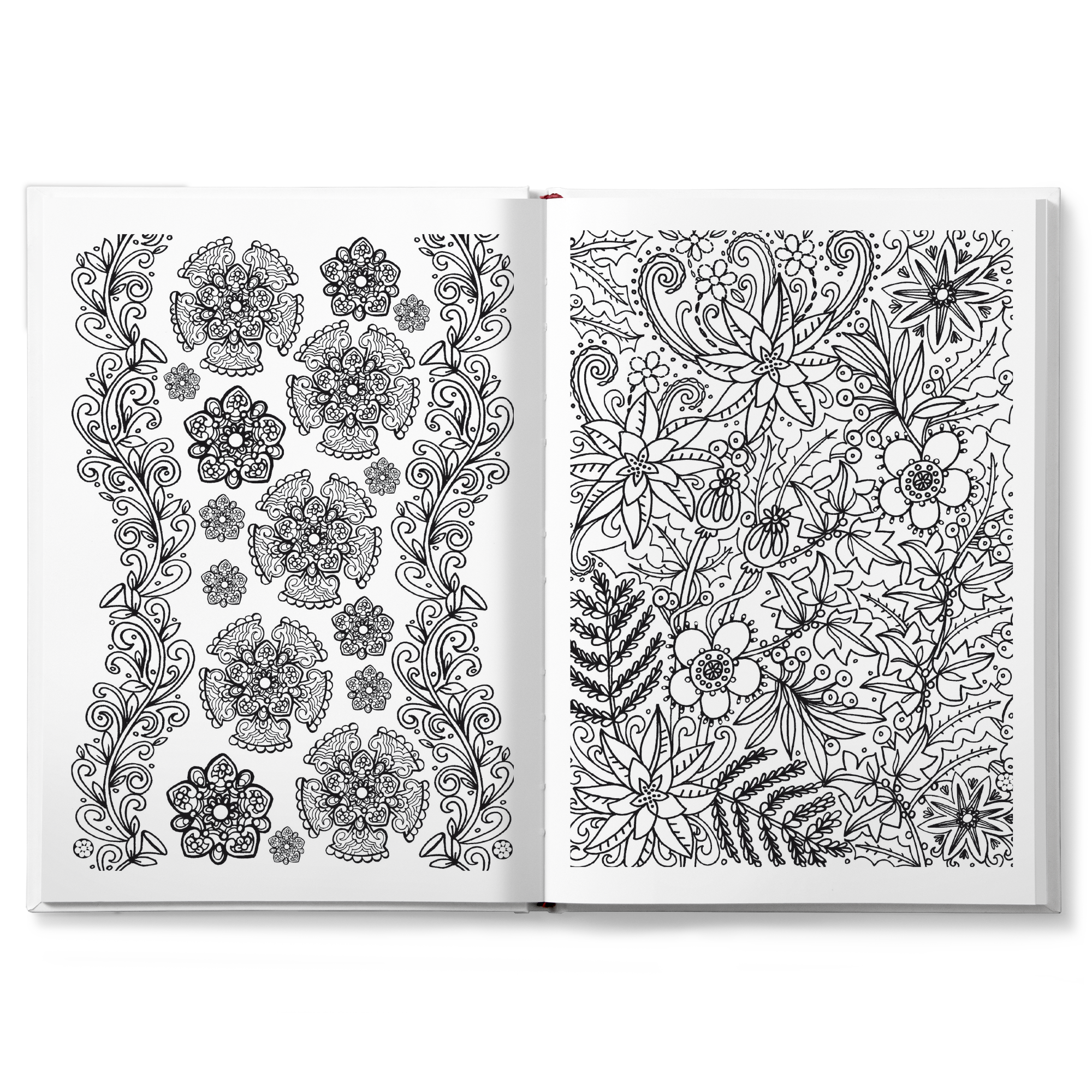 Kleurboek voor volwassenen "Het grote winter"