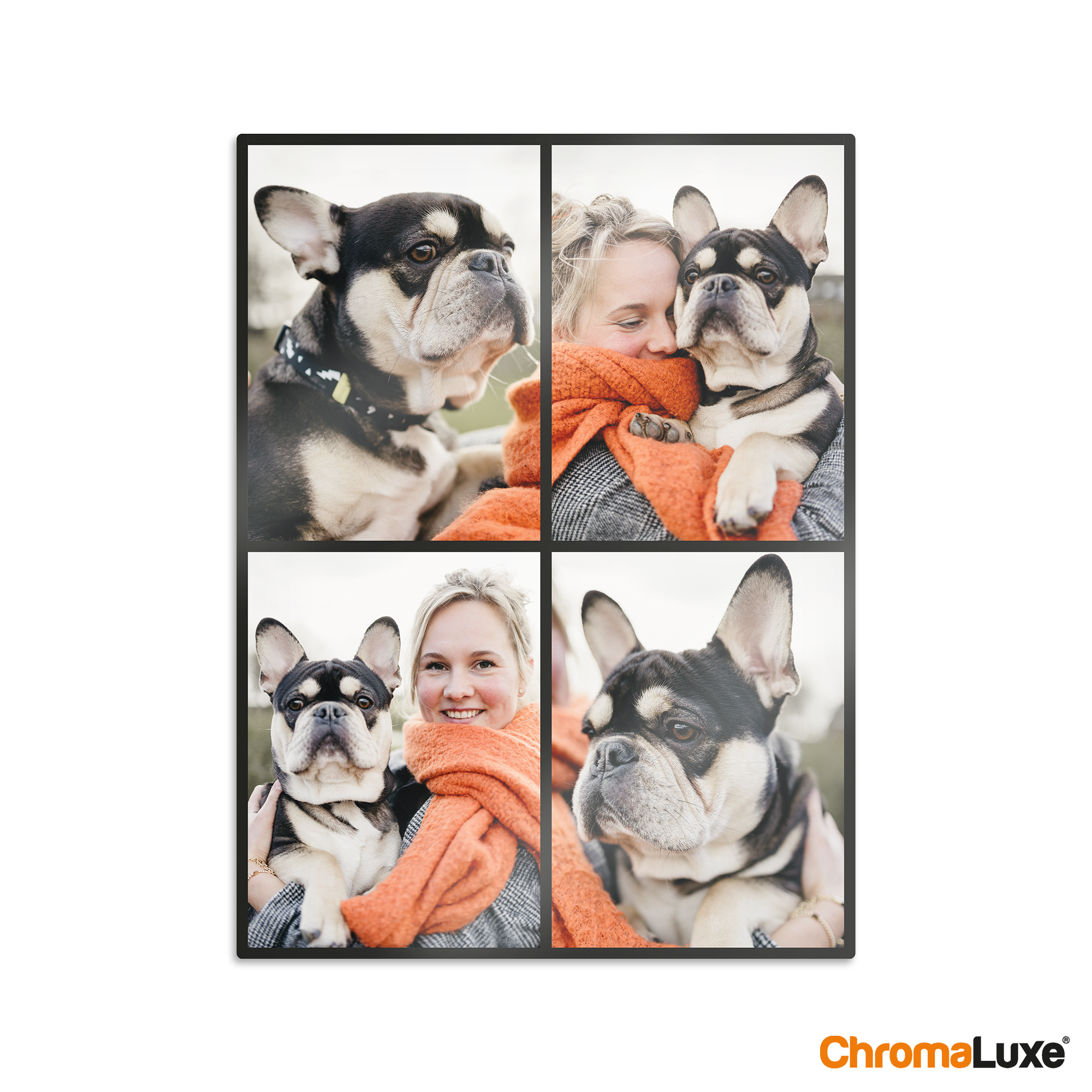 Personlig Instagram-fotocollage i aluminium med fire bilder av en kvinne og en hund.