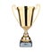 Personalised Trophy – Gold