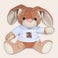 Kuscheltier Hase Personalisiert Kuscheltier Hase Personalisiert