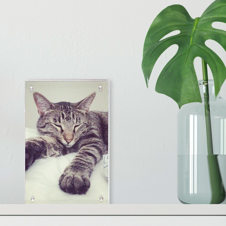 Akryl fotoblokk med et bilde av en sovende katt, tilpasset med ditt eget foto, trykt i skarpe farger.