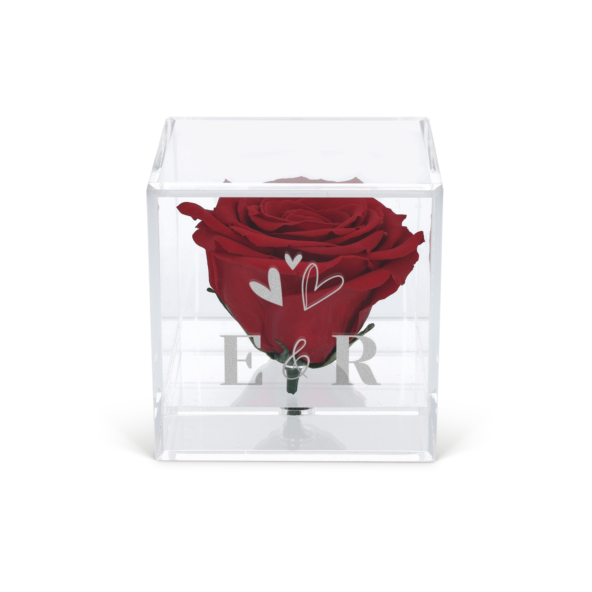 Preserved Rose dans un cube gravé (plexiglas)