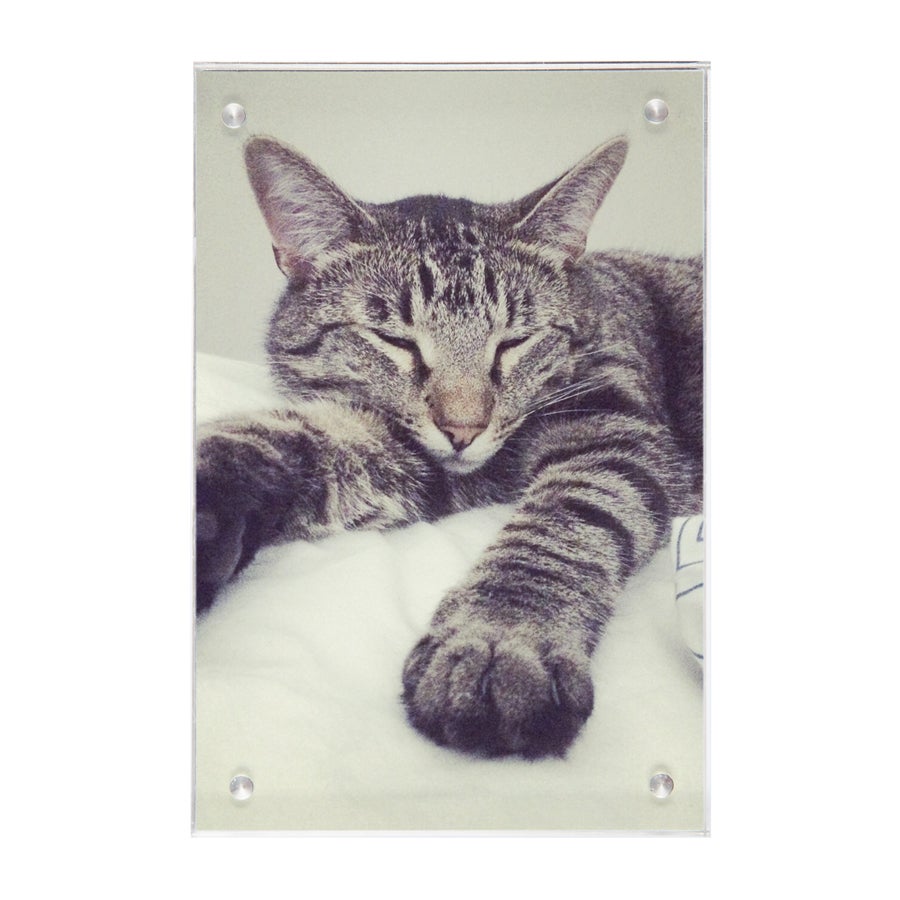 Akryl fotoblokk med bilde av en sovende katt, tilpasset med ditt favorittøyeblikk
