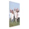 Foto op plexiglas afdrukken