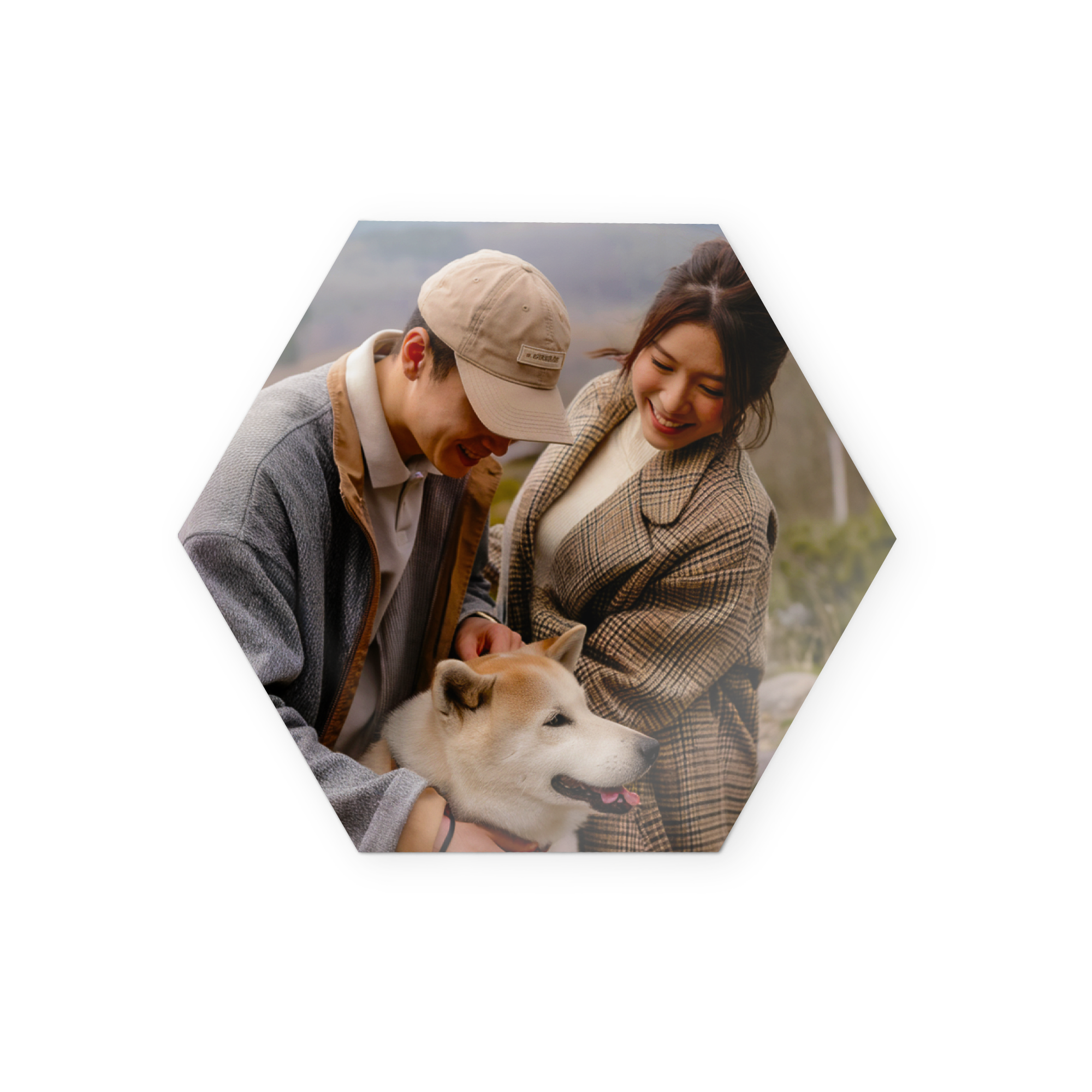 Panouri de perete personalizate