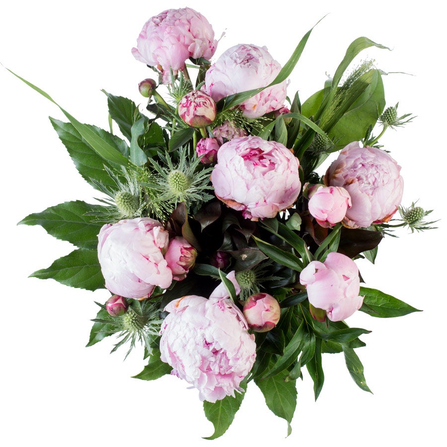 Bloemen - Pioenrozen (Middel)