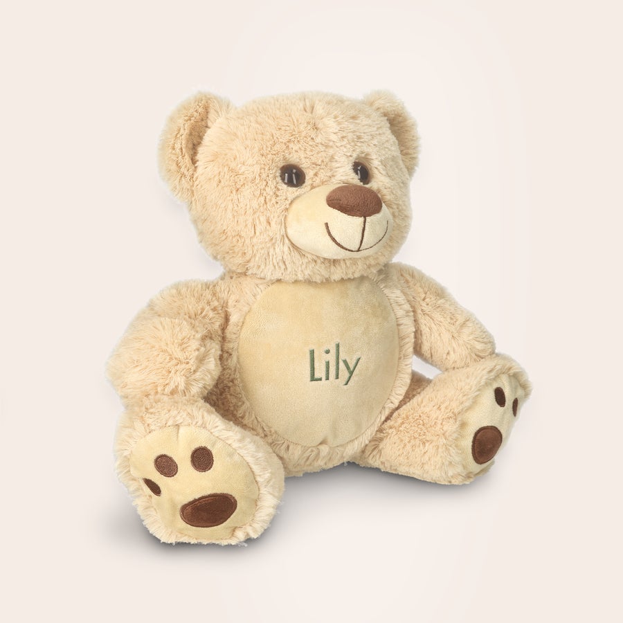 Teddybär zur Geburt mit Namen Kuscheliger Teddybär zur Geburt mit Namen Lily, aufgestickt in Grün, ideal als persönliches Geschenk.