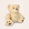 Teddybär zur Geburt mit Namen Teddybär zur Geburt mit Namen