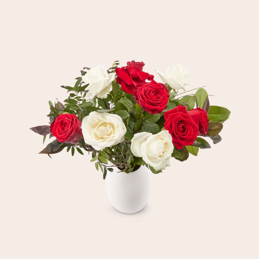 Rode en witte rozen Rode en witte rozen