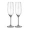 Champagne Glass (set of 2)