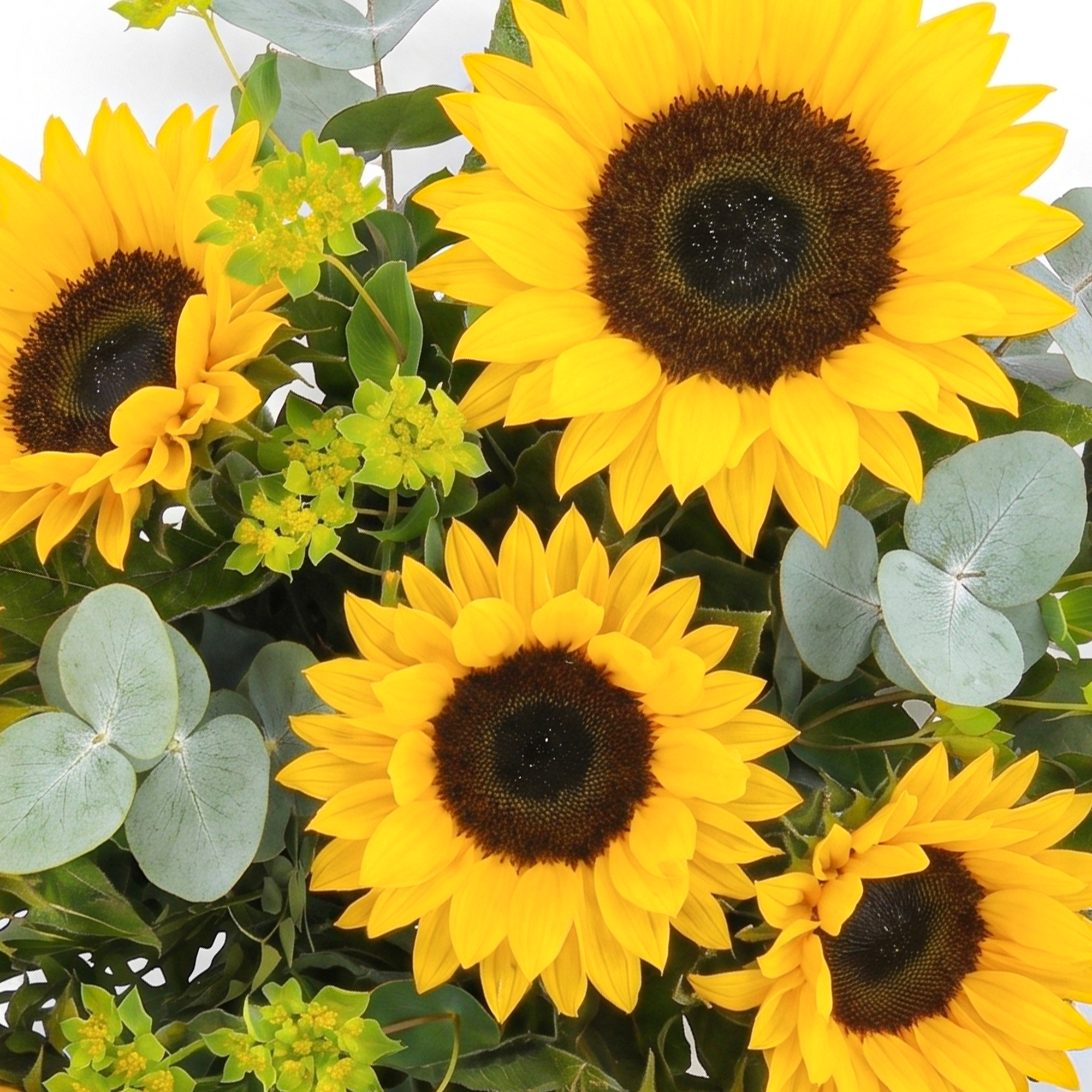 Zomerboeket Bloemen met heldergele zonnebloemen en groen blad, perfect om elke ruimte op te fleuren.
