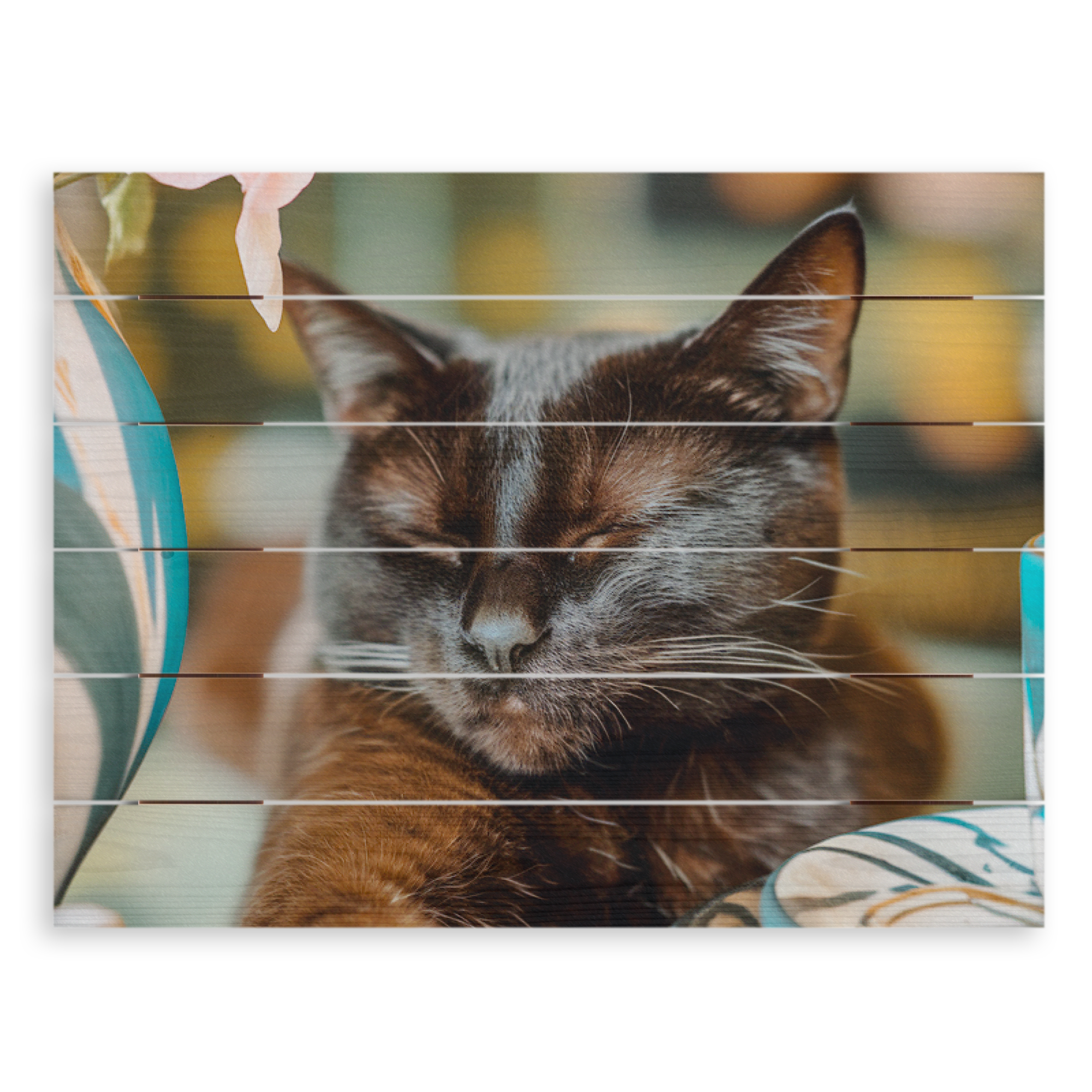 Foto op hout van een slapende kat, een gepersonaliseerd cadeau met eigen foto.