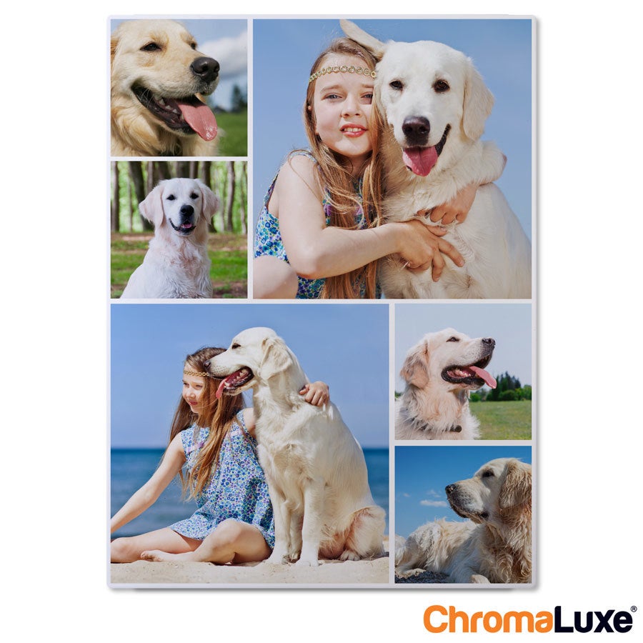 Collage di foto Instagram Collage fotografico Instagram personalizzato in alluminio con stampe di cani e bambina, ideale per esporre le tue foto Instagram direttamente sul muro