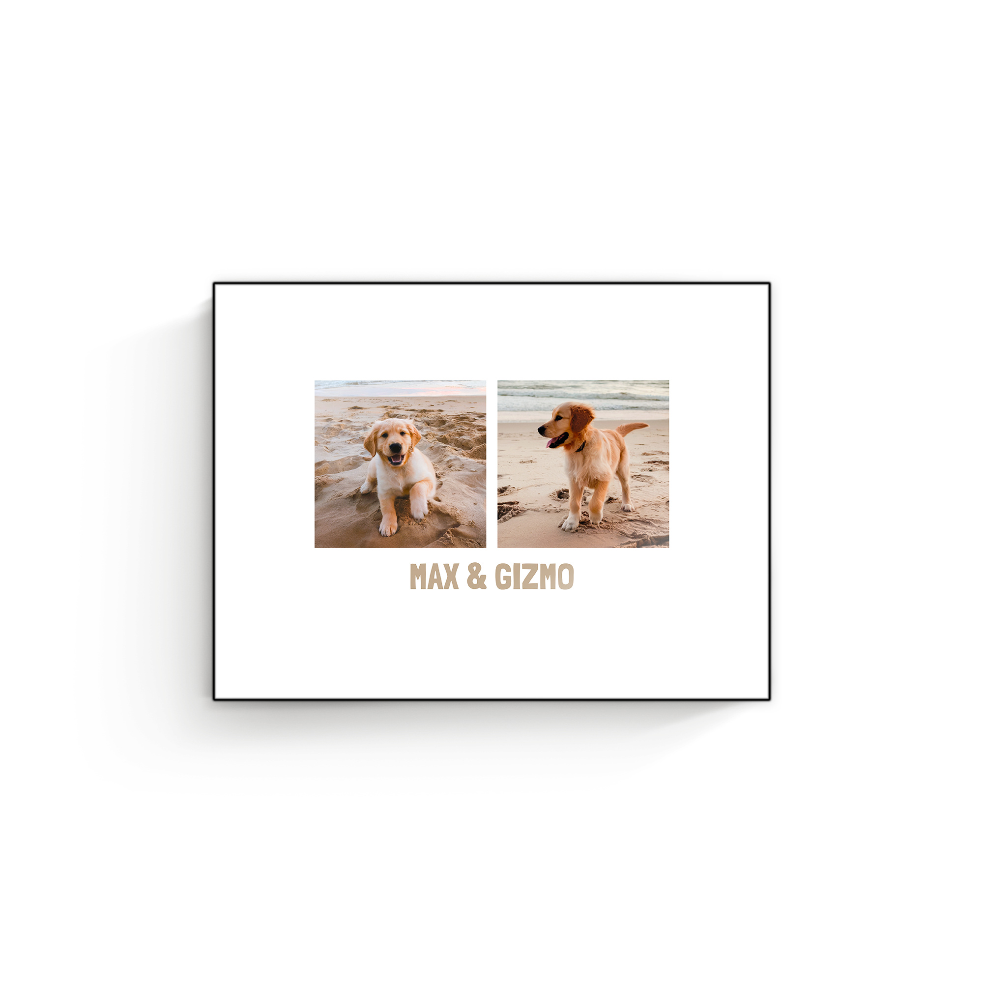 Painel fotográfico de madeira com duas fotos de filhotes e nome Max & Gizmo impresso, surpreenda qualquer pessoa