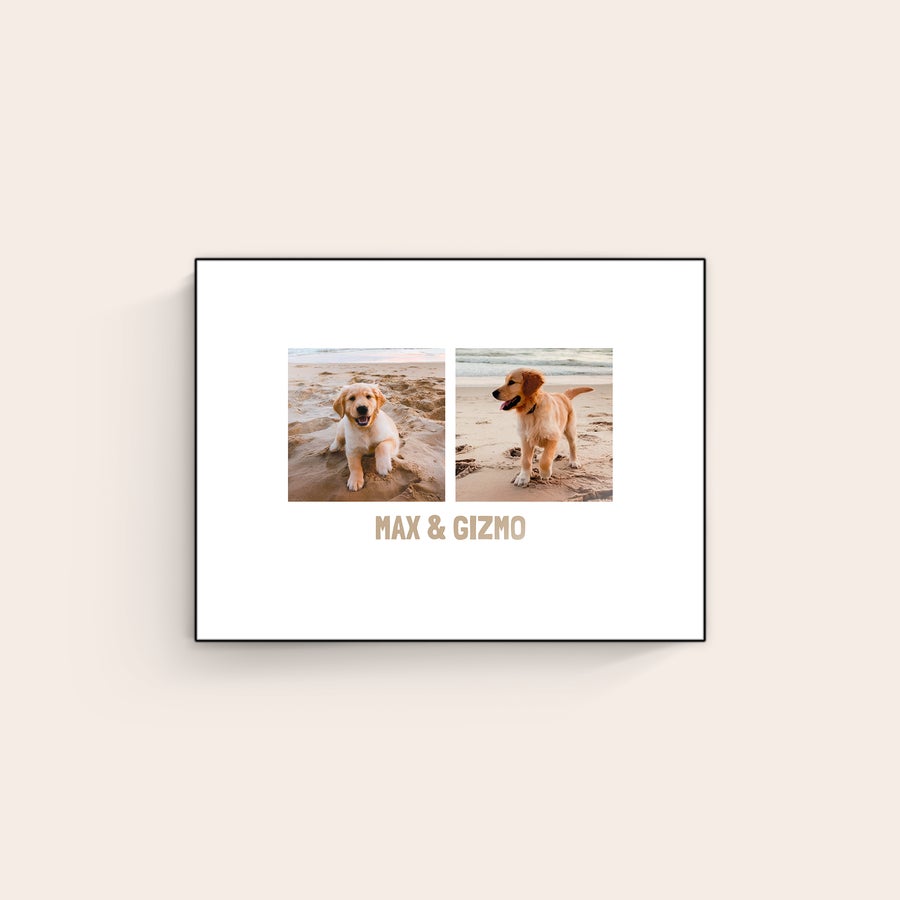 Foto på træ ChromaLuxe træfotopanel med to fotos af golden retriever-hvalpe og teksten MAX & GIZMO, tilpasset med eget foto og tekst