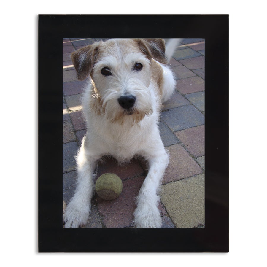 Marco de fotos de vidrio personalizado con foto de perro y pelota, revive los mejores momentos.