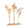Fleurs séchées avec support en bois personnalisé