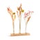 Torkade blommor - 3 vaser - personligt träställ