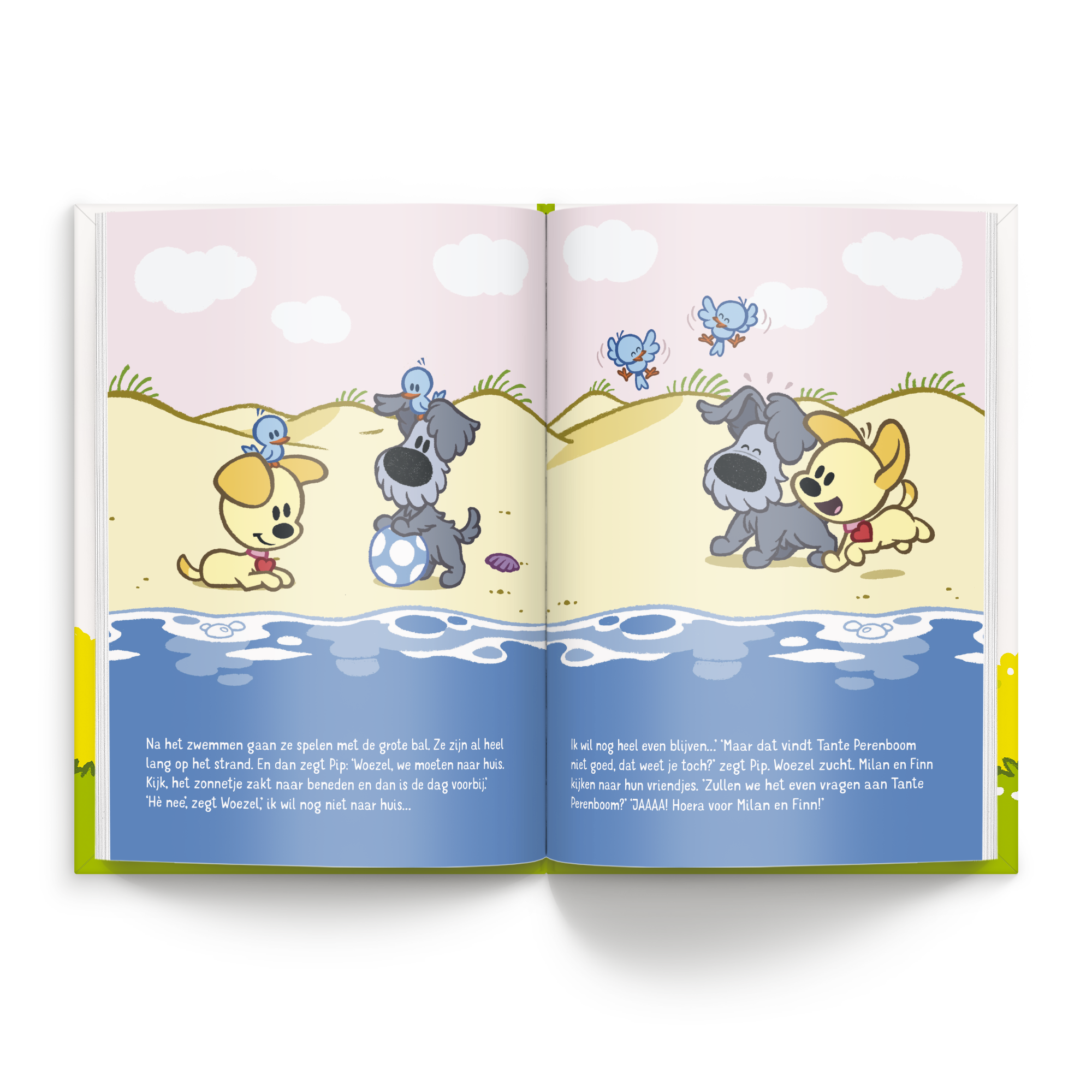 Boek Woezel & Pip tweelingeditie met naam