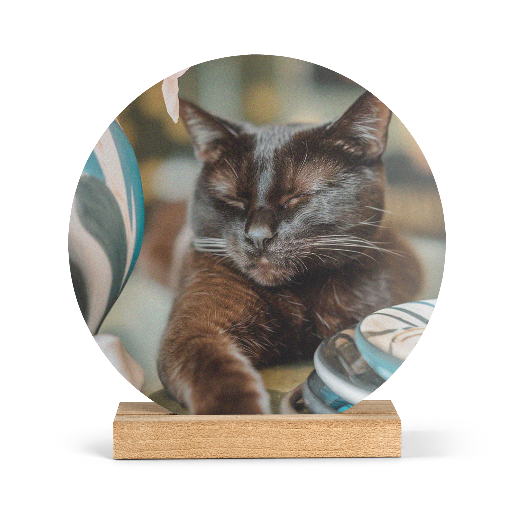 Azulejo redondo de madeira com foto personalizada de um gato preto dormindo, perfeito para surpreender a pessoa amada.