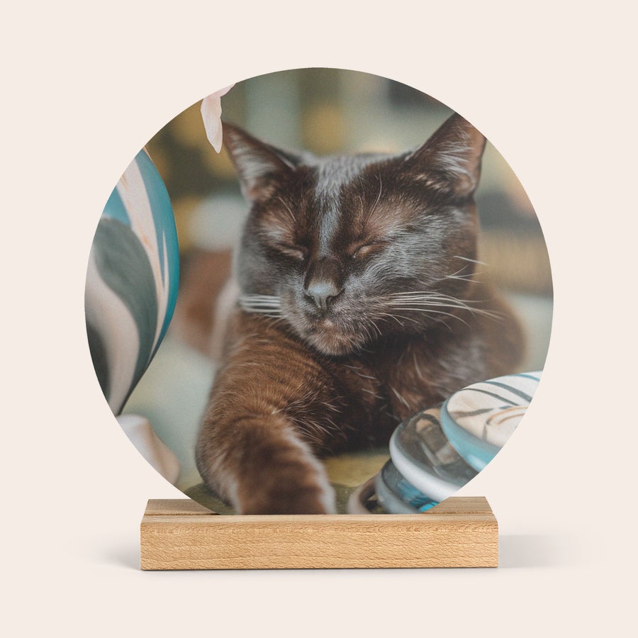 Wooden Photo Tile Round Forex Photo Tile printed with a sleeping brown cat and white whiskers on a wooden stand