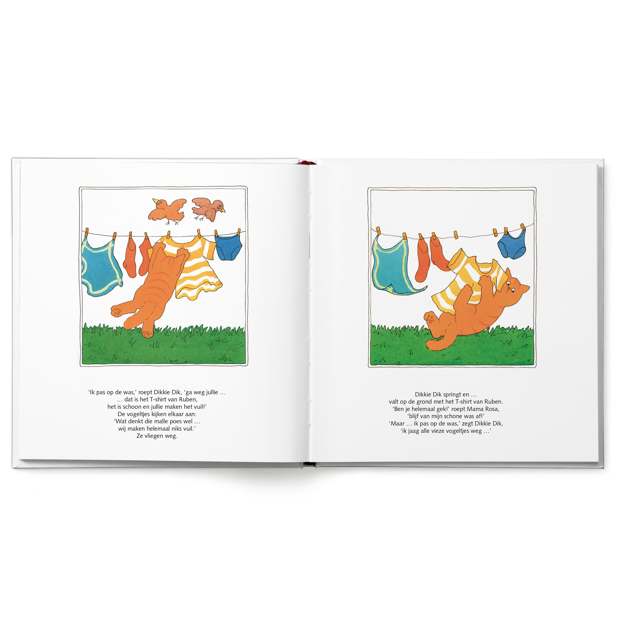 Open gepersonaliseerd Dikkie Dik boek met drie verhaaltjes, pagina's tonen Dikkie Dik die met de was speelt.